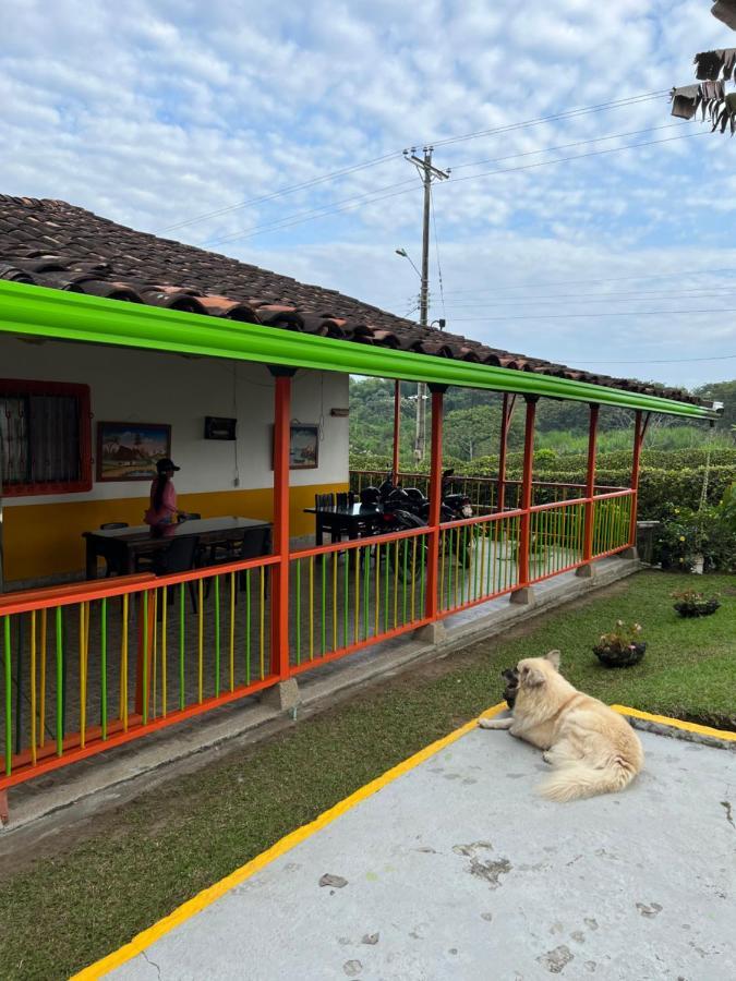 Alojamiento Campestre Hawaii Montenegro Ngoại thất bức ảnh
